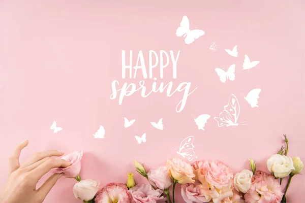 Top view of hand arranging beautiful tender flowers with HAPPY SPRING sign and butterflies isolated on pink background — Stock Photo