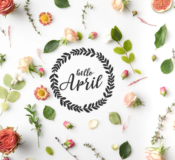 HELLO APRIL lettering surrounded with pink flowers, petals and figs isolated on white — Stock Photo