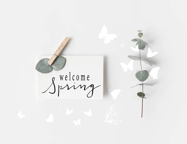 Плоска лежала з евкаліптом і знаком WELCOME SPRING на папері на білій поверхні — стокове фото