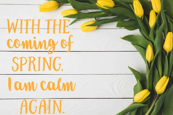 Вид зверху на красиві квітучі жовті тюльпани на білій дерев'яній поверхні з весняною фразою — стокове фото
