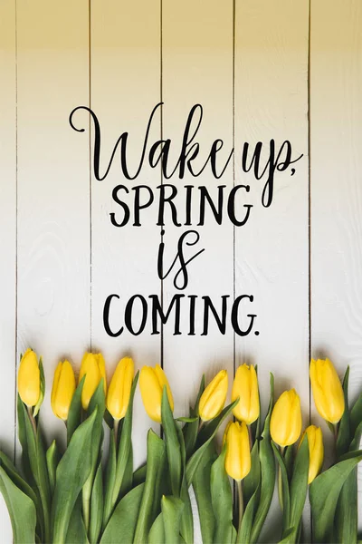 Top view of beautiful blooming yellow tulips and WAKE UP. SPRING IS COMING lettering on white wooden surface — Stock Photo