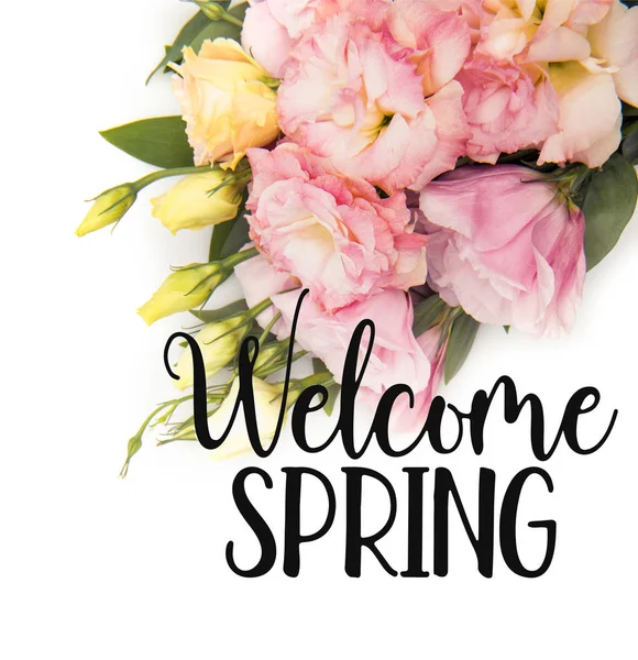 Vista superior de letras WELCOME SPRING con hermosas flores tiernas y brotes aislados en blanco - foto de stock