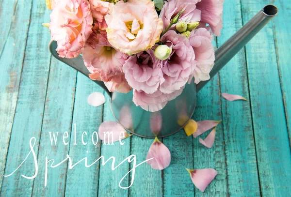 High angle view of beautiful tender flowers in watering can and pink petals on wooden surface with WELCOME SPRING lettering — Stock Photo