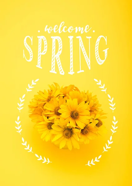 Вид зверху на красиві квіти хризантем з написом WELCOME SPRING ізольовані на жовтому — стокове фото