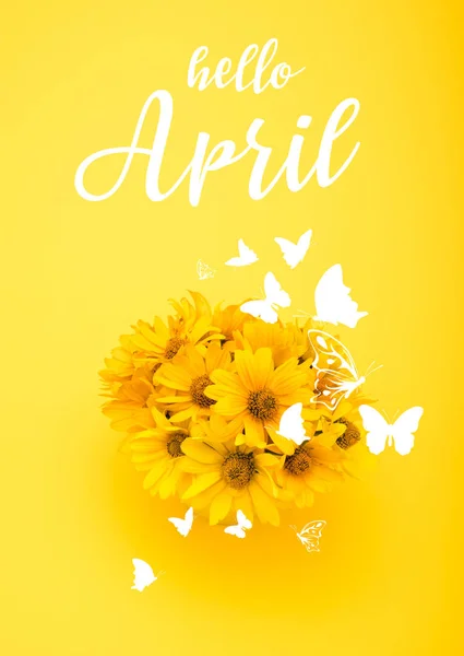 Top view of beautiful chrysanthemum flowers with HELLO APRIL sign — Stock Photo