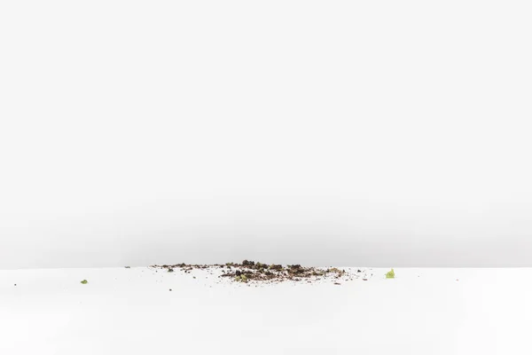 Close-up view of black soil spilled on white — Stock Photo