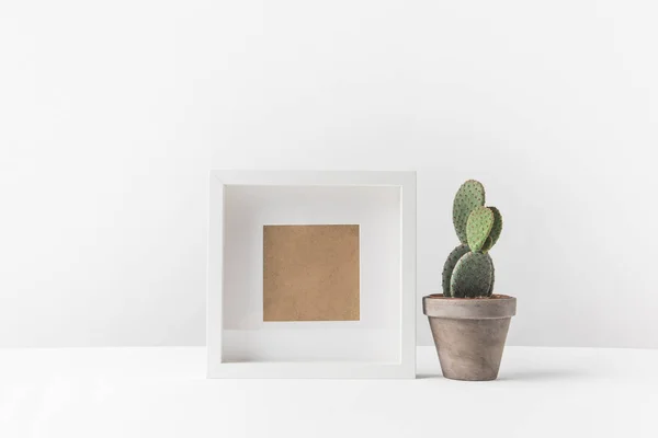 Bellissimo cactus verde in vaso e cornice fotografica vuota su bianco — Foto stock