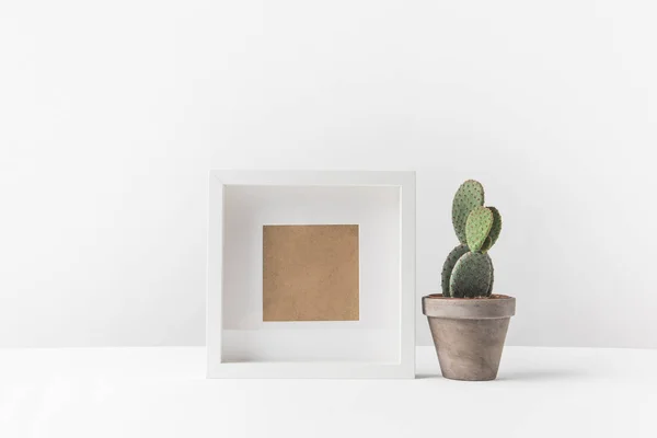 Schöner grüner Topfkaktus und leerer Fotorahmen auf weiß — Stock Photo