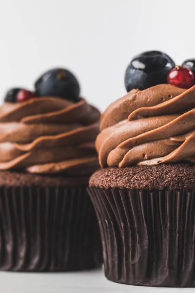 Cupcakes de chocolate com creme, uva e bagas isoladas em branco — Fotografia de Stock