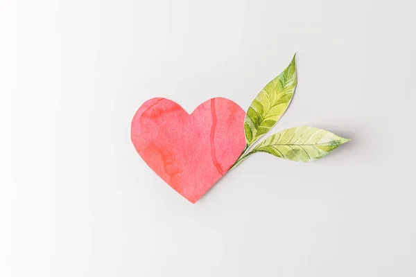 Top view of red paper heart and green leaves isolated on grey, environment protection concept — Stock Photo