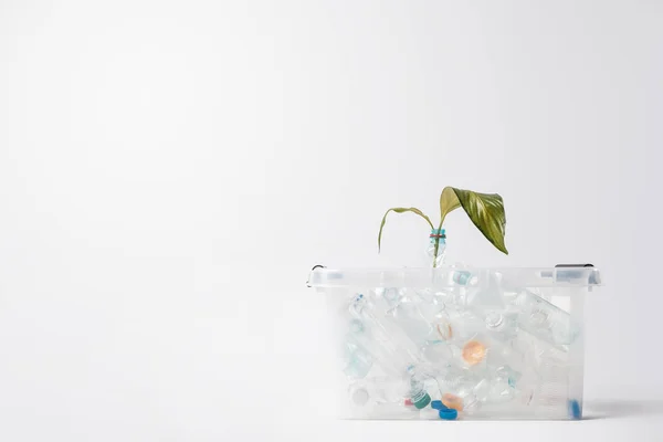 Vista de cerca del contenedor con botellas de plástico y hojas verdes aisladas en blanco, concepto de reciclaje — Stock Photo
