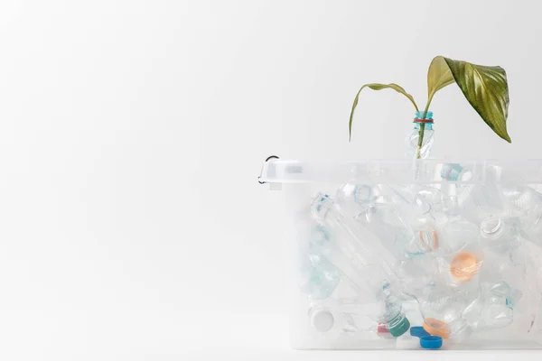 Vista de cerca del contenedor con botellas de plástico y hojas verdes aisladas en blanco, concepto de reciclaje - foto de stock