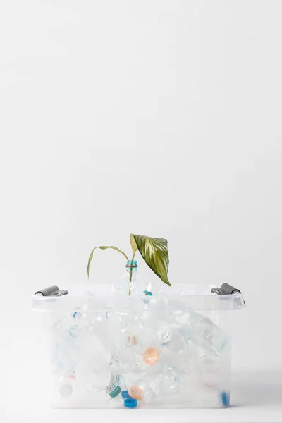 Close up view of container with plastic bottles and green leaves isolated on grey, recycling concept — Stock Photo