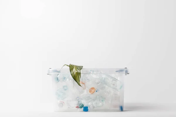 Close up view of container with plastic bottles and green leaf isolated on grey, recycling concept — Stock Photo