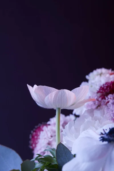 Buquê de flores coloridas diferentes no escuro — Fotografia de Stock