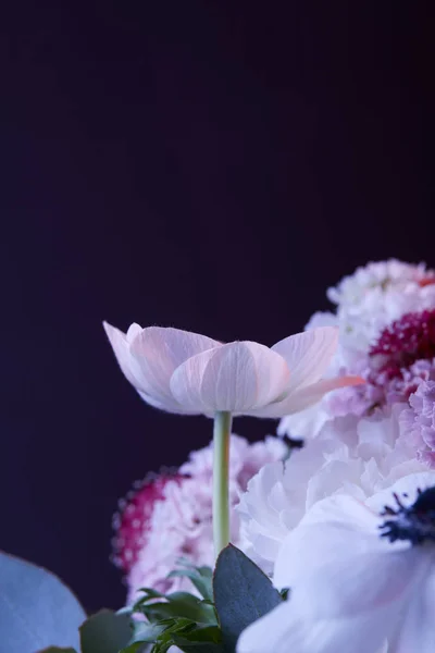 Bouquet of different colored flowers on dark — Stock Photo