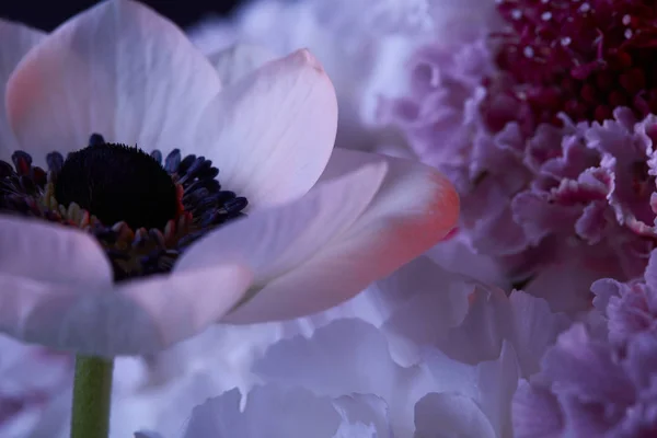 Close up of white flowers with petals and stamens — Stock Photo