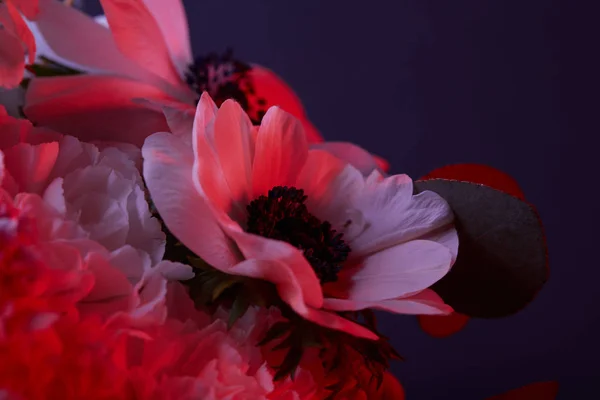 Ramo de flores en la luz roja en la oscuridad - foto de stock