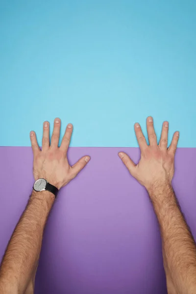 Tiro recortado de mãos masculinas em papel colorido azul e violeta — Fotografia de Stock