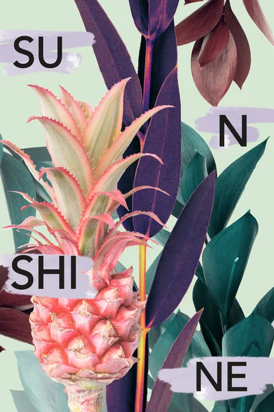 Творчий колаж з ананасом, листям і знаком SUNSHINE — стокове фото