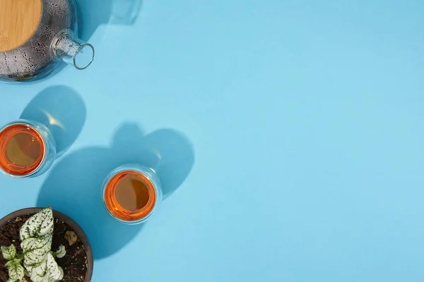 Top view of teapot and cups with fresh hot tea and houseplant in pot on blue — Stock Photo