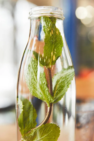 Green mint herb in glass bottle with water — Stock Photo