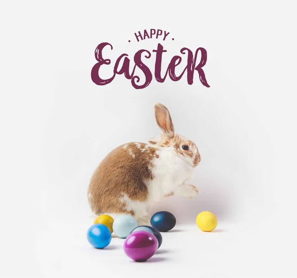 Side view of bunny and painted in different colors eggs with happy easter lettering above — Stock Photo