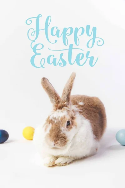 Painted in different colors eggs and bunny, happy easter lettering — Stock Photo