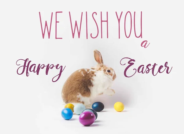 Вид сбоку на кролика и раскрашенные в разные цвета яйца, и мы желаем вам счастливого съедобного листинга, концепции съедобного — стоковое фото