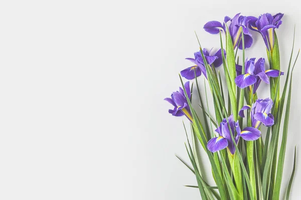 Flowers — Stock Photo