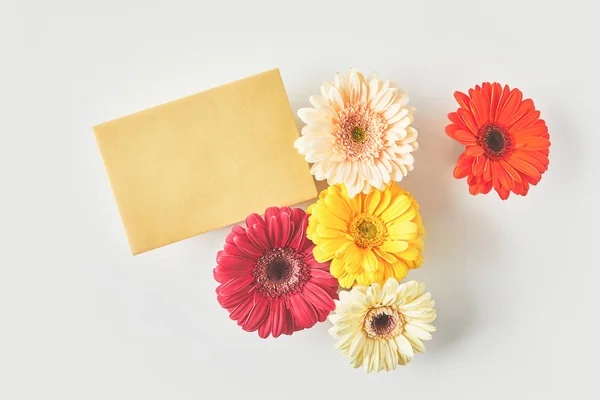 Вид сверху на чистую открытку и красивые цветы герберы на сером — стоковое фото