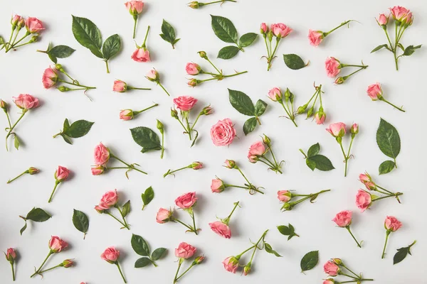 Vista superior del fondo de hermosas rosas rosadas y hojas verdes sobre gris - foto de stock