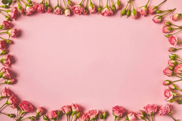 Ansicht des Rahmens aus schönen rosa Rosen und Kopierraum auf rosa — Stockfoto