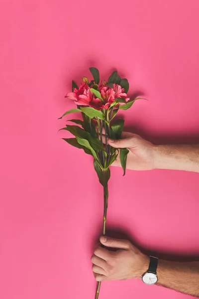 Tiro recortado de hombre sosteniendo rama de flores de Alstroemeria, concepto de día de las madres - foto de stock