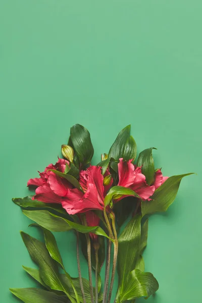 Top view of bunch of beautiful Alstroemeria flowers on green, mothers day concept — Stock Photo