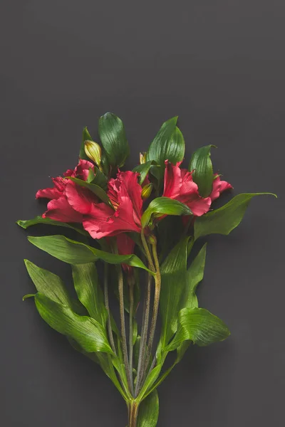 Vue de dessus du bouquet de fleurs Alstroemeria sur gris foncé, concept de fête des mères — Photo de stock