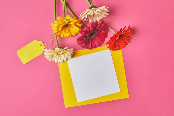 Top view of bunch of colorful Gerbera flowers with blank paper on pink, mothers day concept — Stock Photo