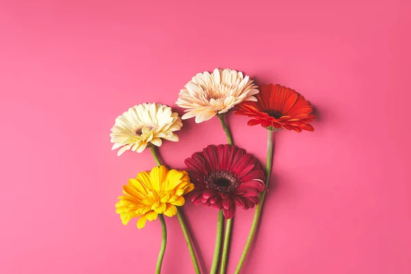 Top view of bunch of colorful Gerbera flowers on pink, mothers day concept — Stock Photo