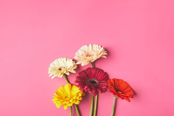 Top view of bunch of beautiful Gerbera flowers on pink, mothers day concept — Stock Photo