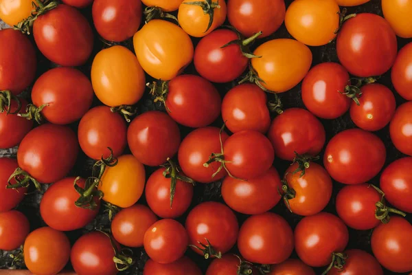 Vista elevada de tomates rojos y anaranjados maduros - foto de stock