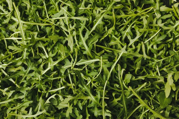 Top view of green ripe arugula leaves — Stock Photo