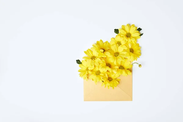 Yellow chrysanthemums in envelope isolated on white — Stock Photo