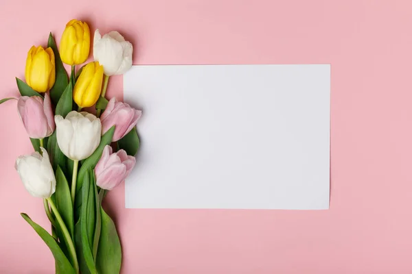 Strauß von Frühlingstulpen mit leerem Papier isoliert auf rosa — Stockfoto