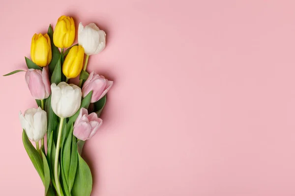 Tulpen — Stockfoto