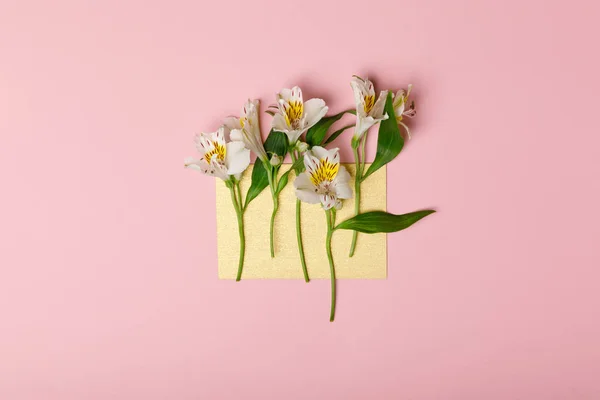 Alstromeria fleurs sur papier blanc isolé sur rose — Photo de stock