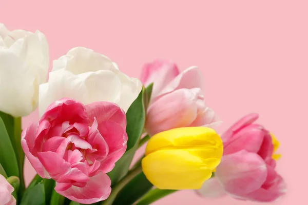 Bouquet di tulipani primaverili colorati isolati su sfondo rosa — Foto stock