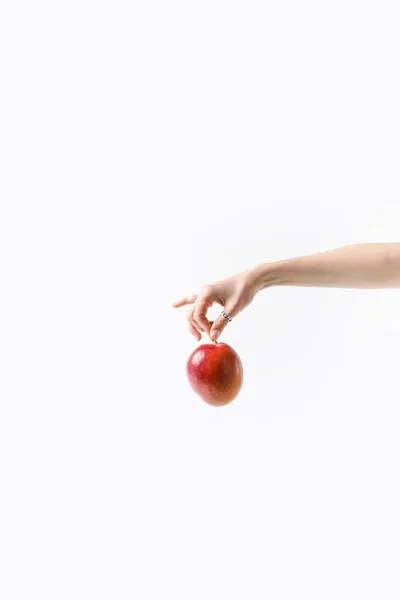Tiro recortado de mujer sosteniendo fruta de mango en mano aislado en blanco - foto de stock
