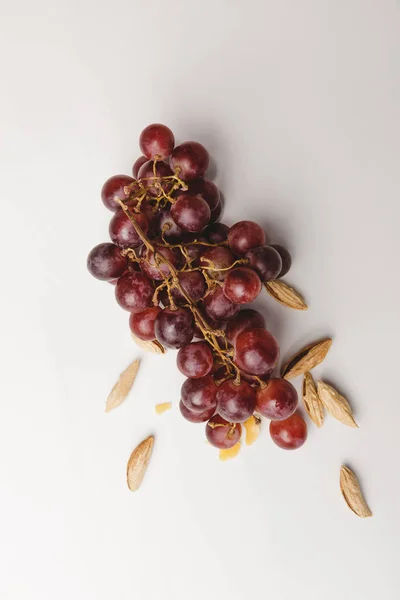 Top view of grapes and almond on white — Stock Photo