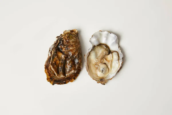 Amêijoas de ostra frescas abertas isoladas em branco — Fotografia de Stock