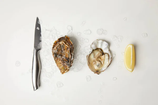 Ostras con limón y cuchillo sobre mesa blanca con hielo - foto de stock